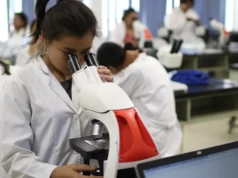 Estas son las carreras más demandadas en la UABCS